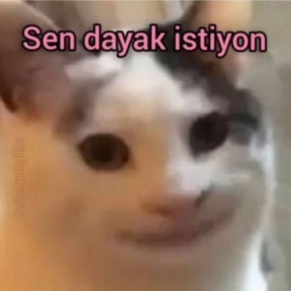 Benim mekanım