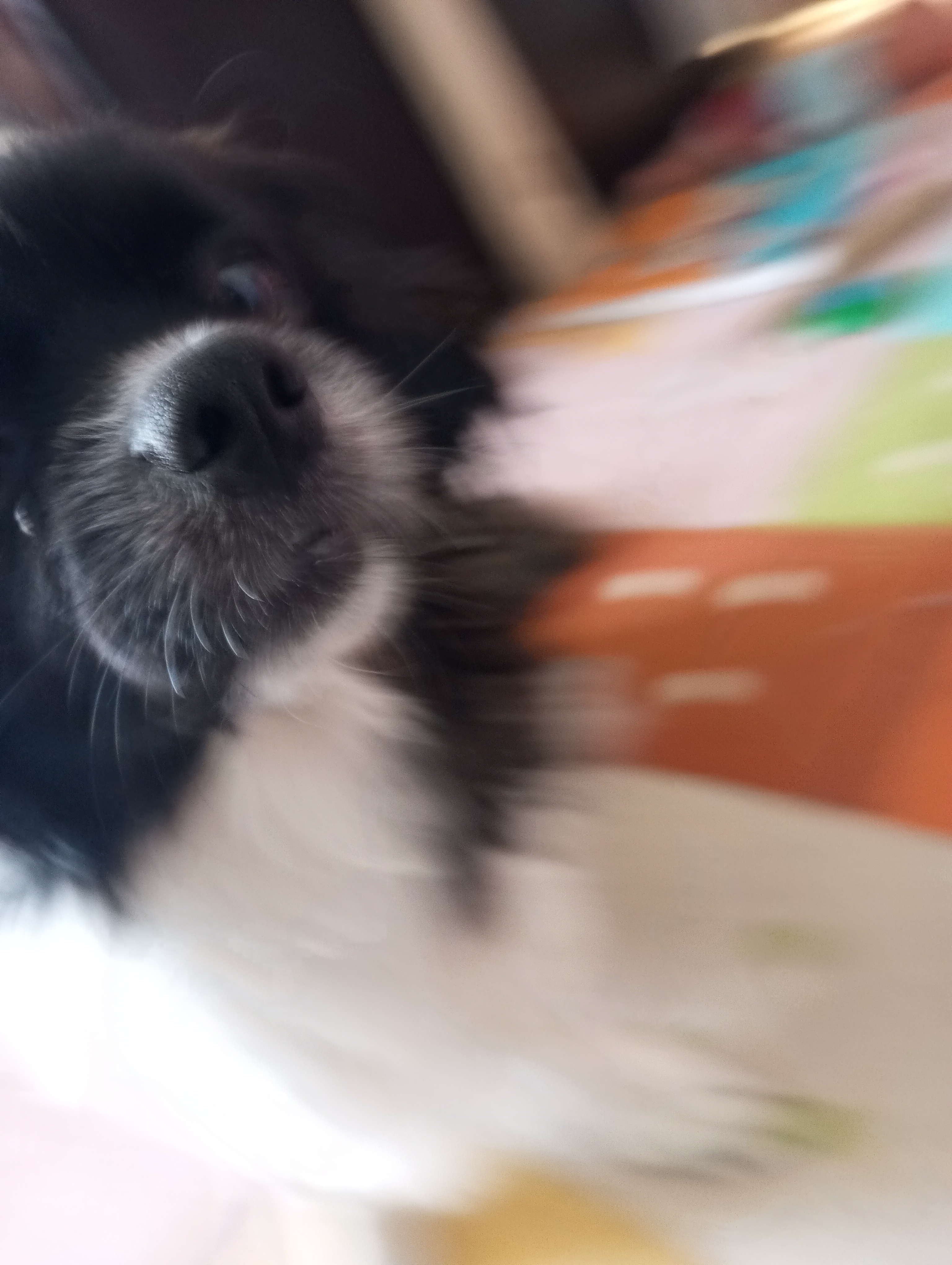 Lily