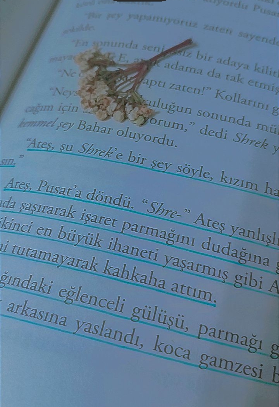 Deniz Tokgöz