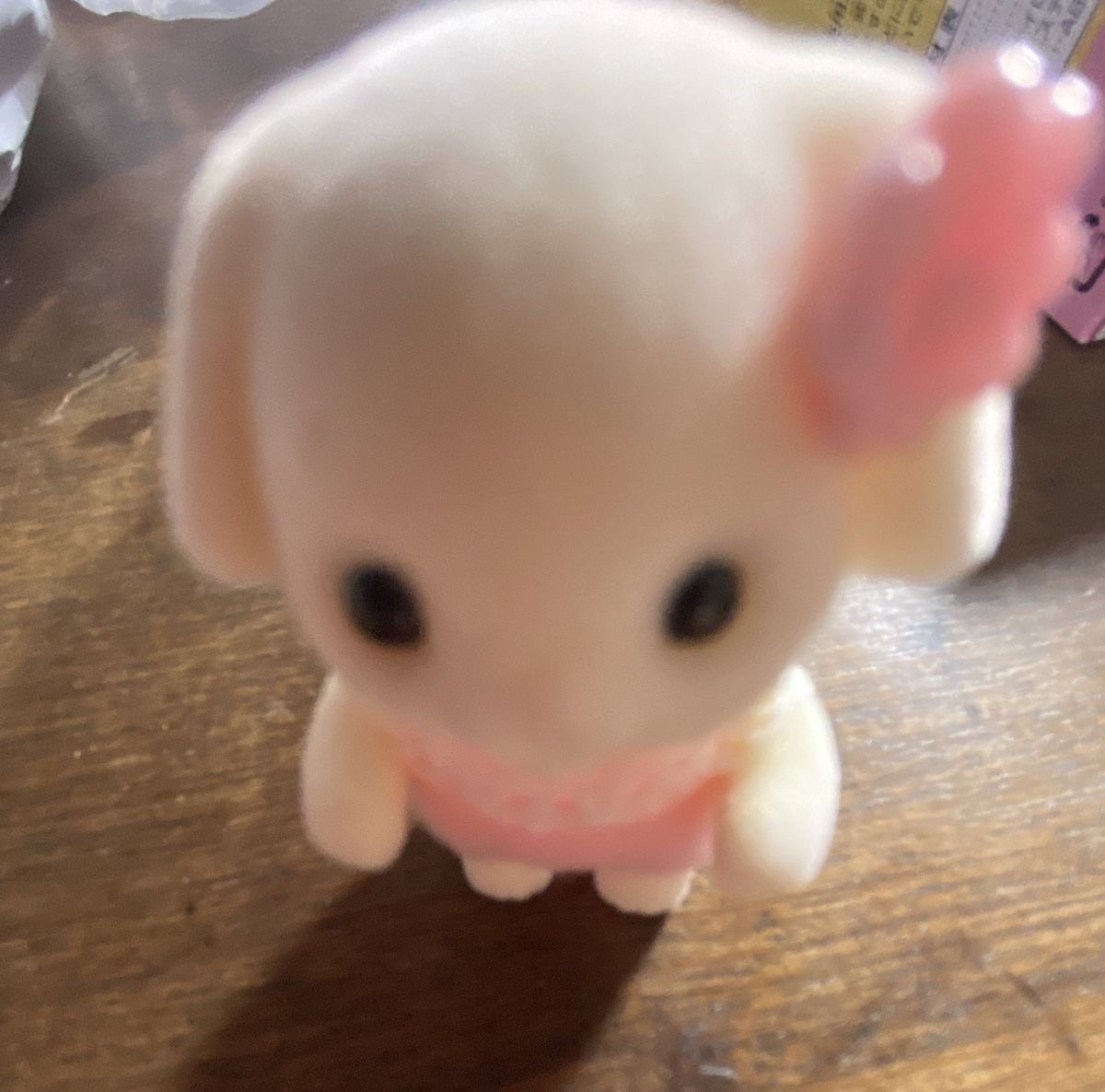 itete୨୧