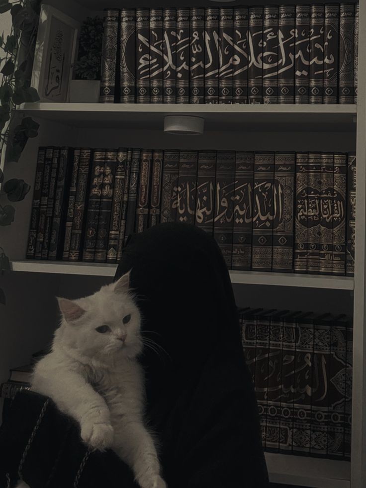 Âisha binti Rasim