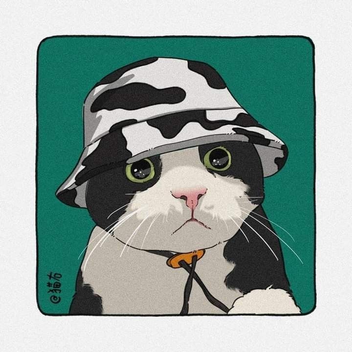 Orenda Cat
