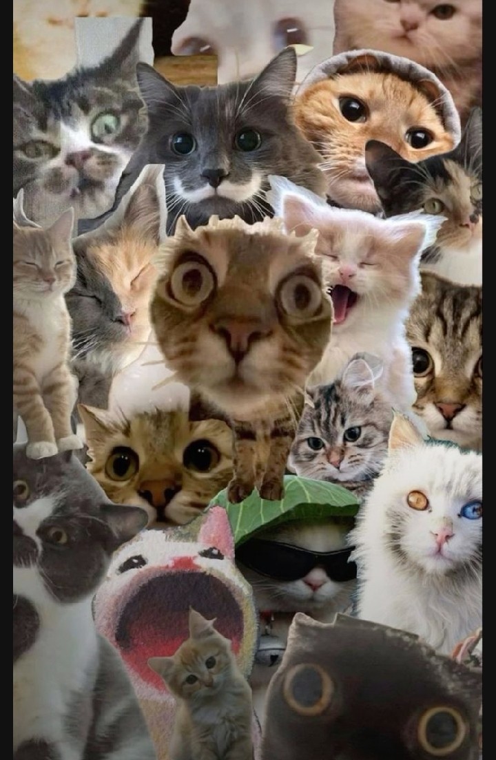 Eyloşşş🌠