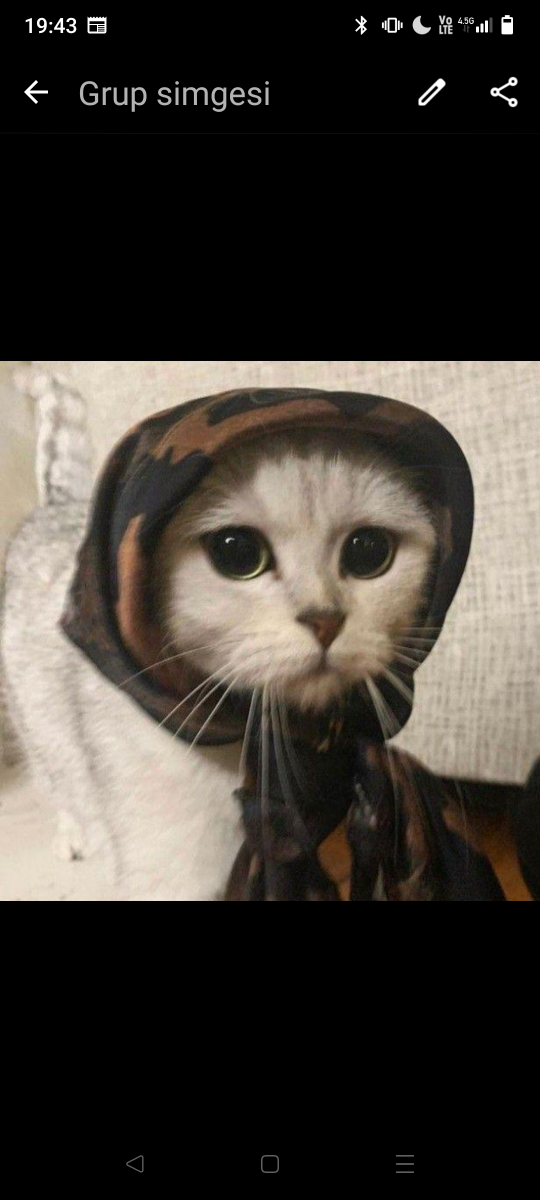 Ezgi  Su Avşar