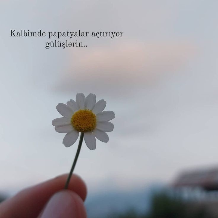 Guzel