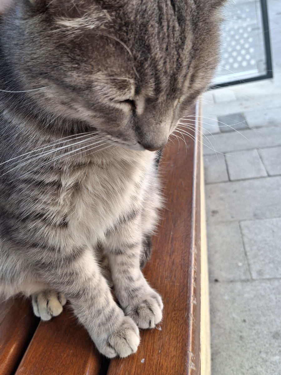 Zeynep