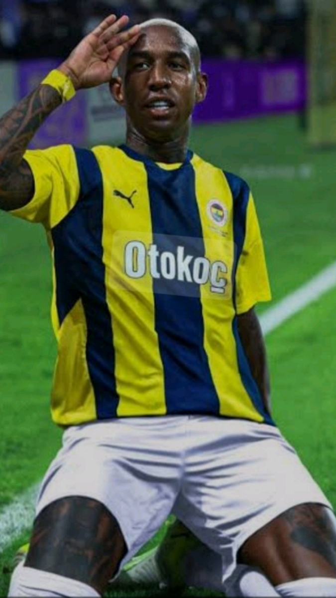 Mert Fener