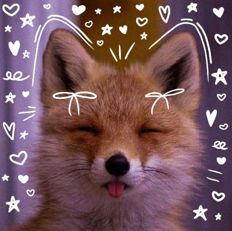 Foxy