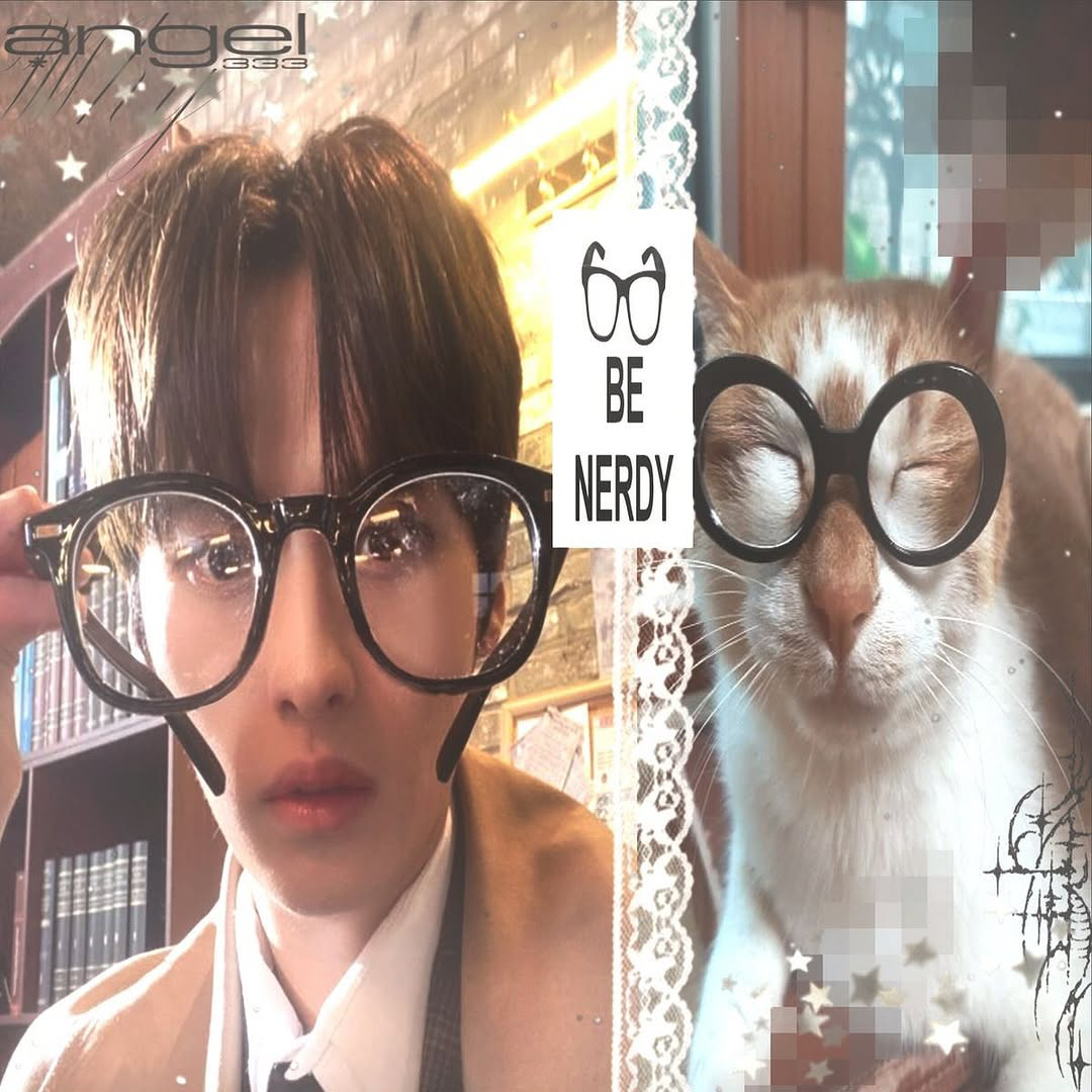 ll.leeuknow