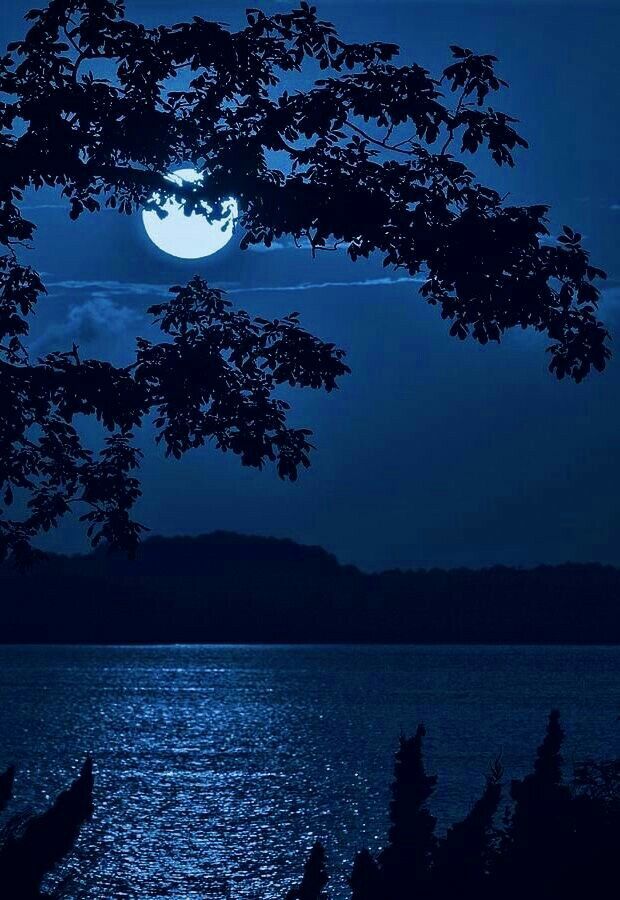 ~Sadece_Roza~