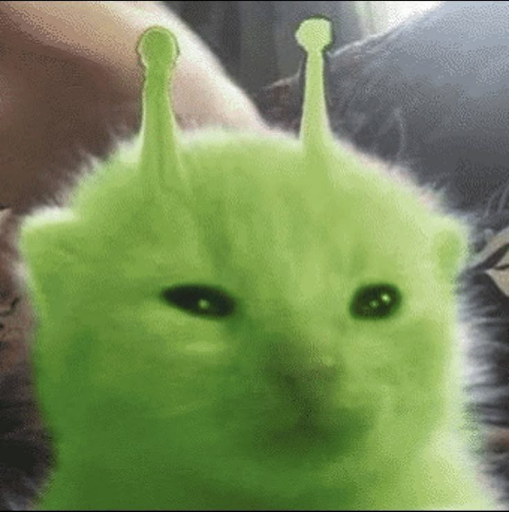 pickle
