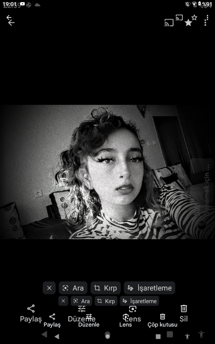 Didem