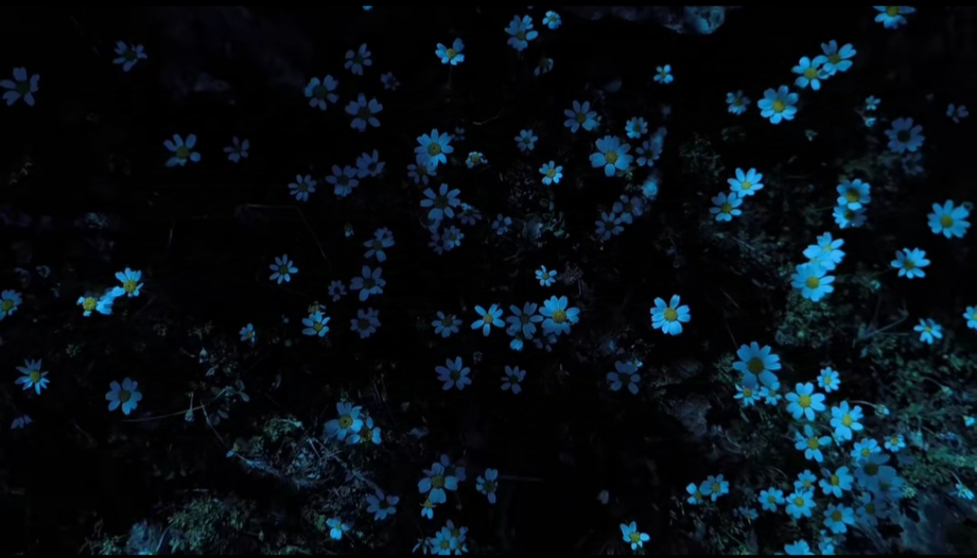 yumoş