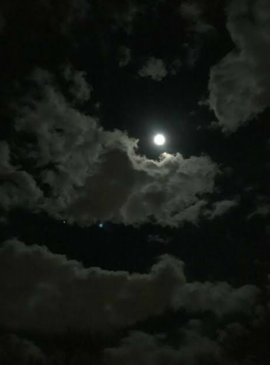 ☆Gece☆