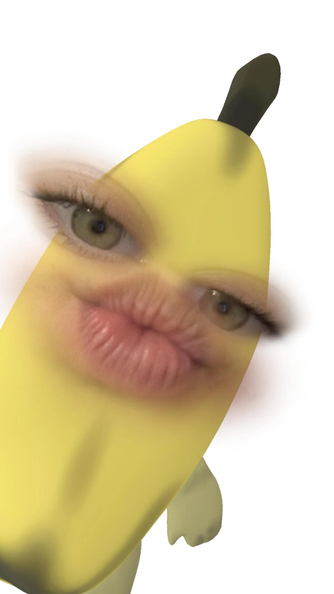 Selin