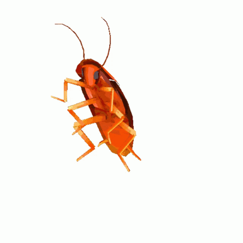 Scarbey