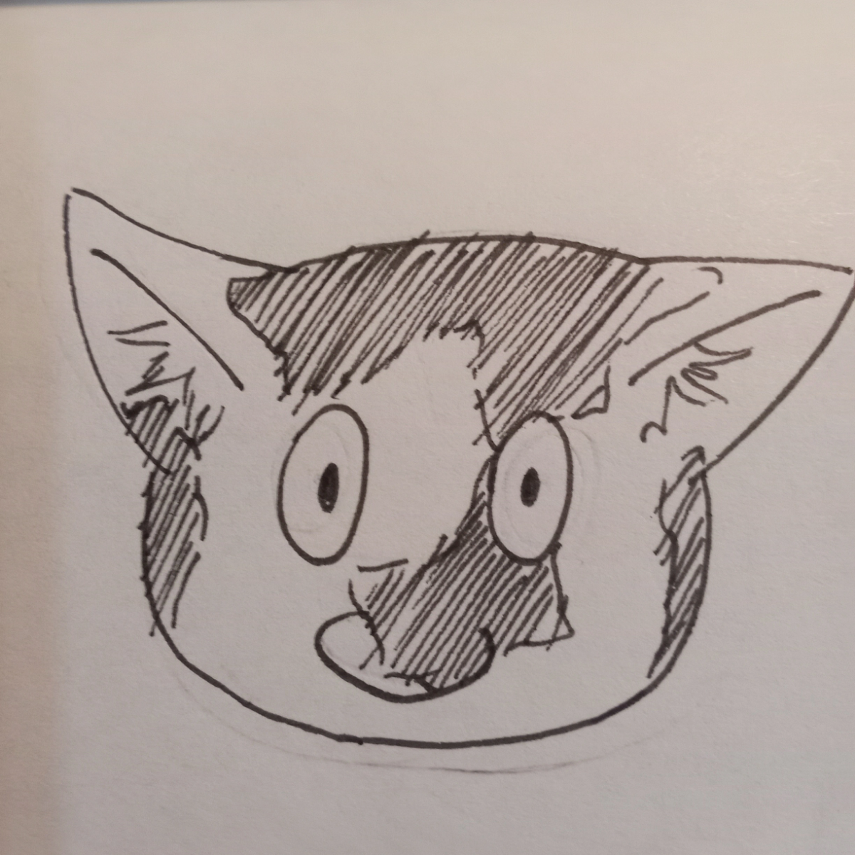 gokronkot