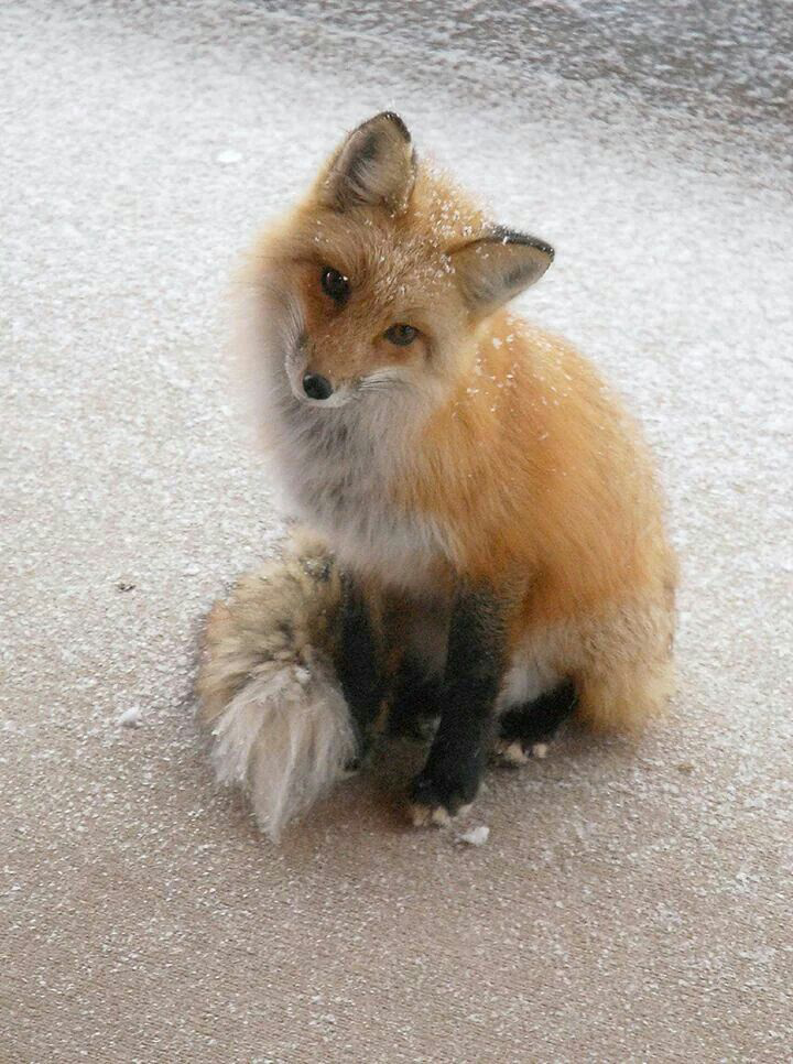 Nick