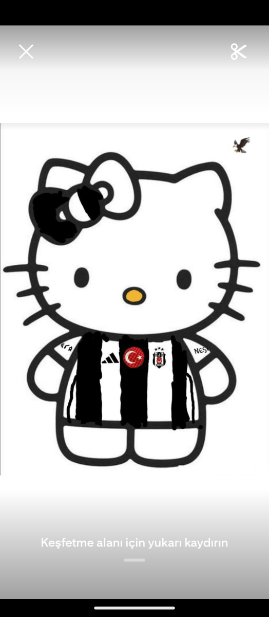 Narin Alkan