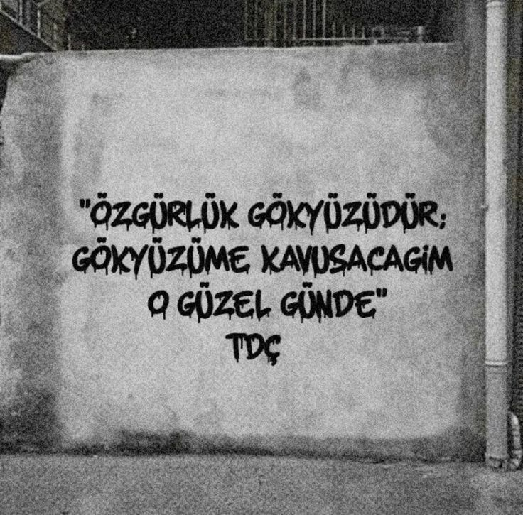 Gece_mavisi_bookss