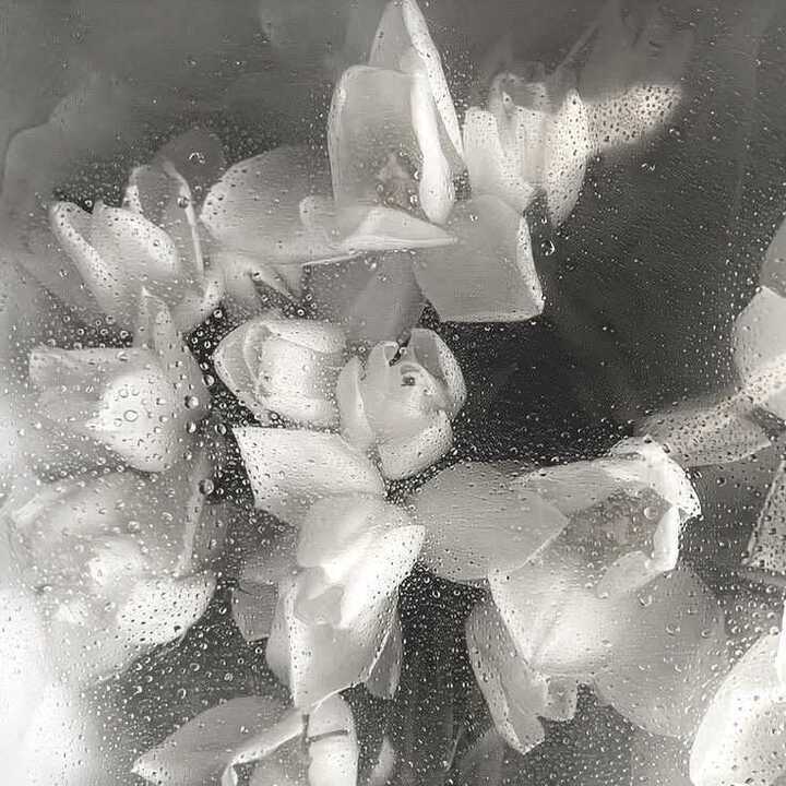 𝒱𝒶𝓋ℯ𝓎𝓁𝒶
