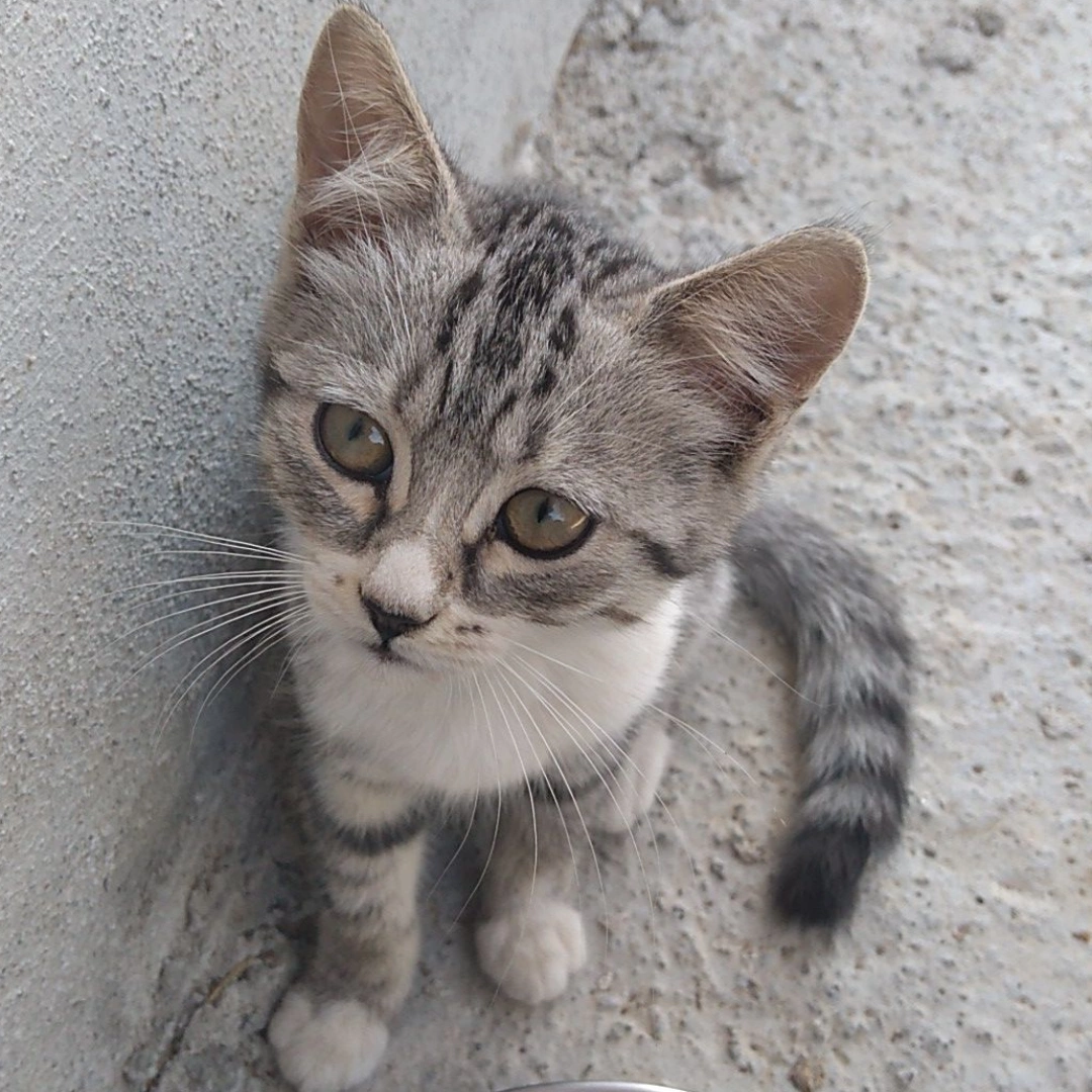 Aylülünüzz