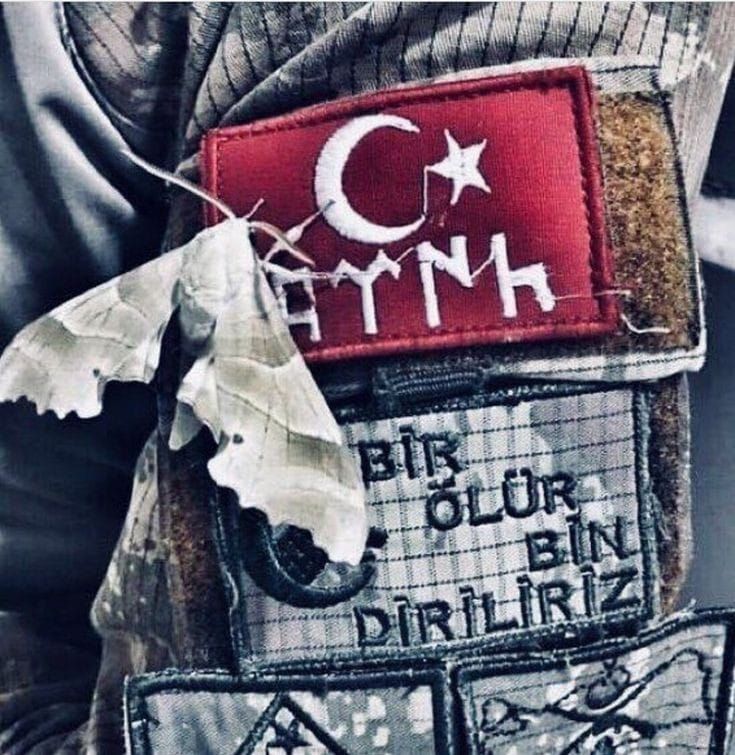Sadece Okuyan İşte