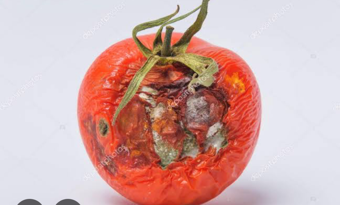 Çürükdomates