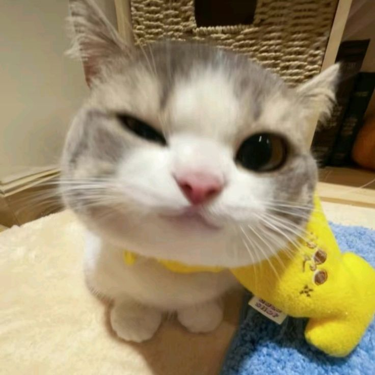 Yiren