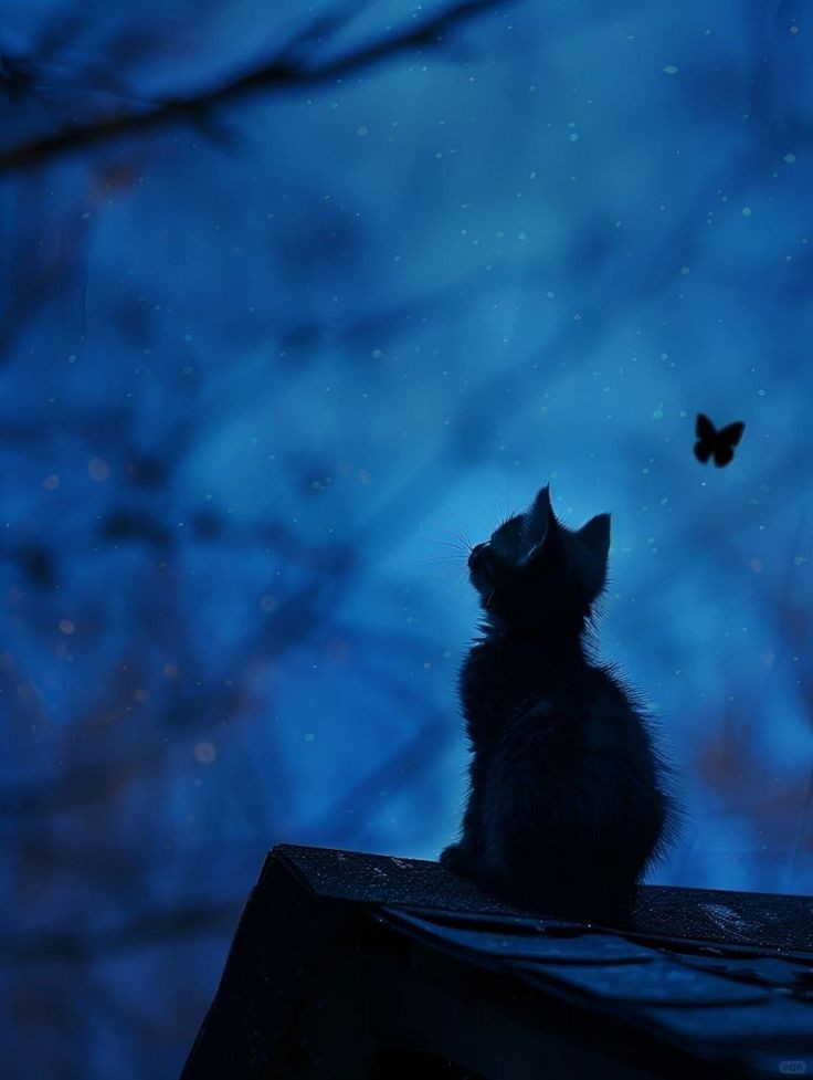 ÇilekliSüt-Catw
