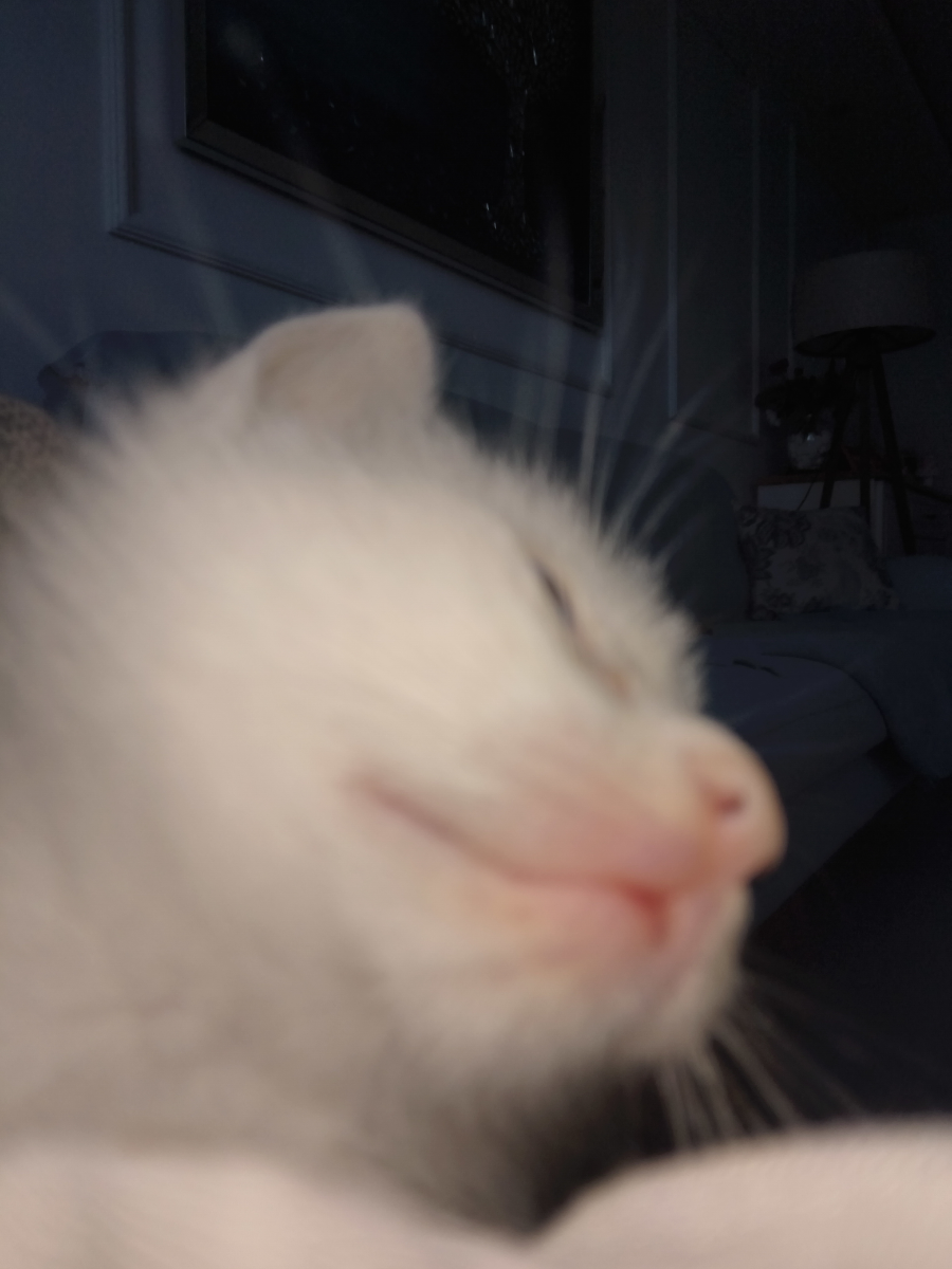 Götya