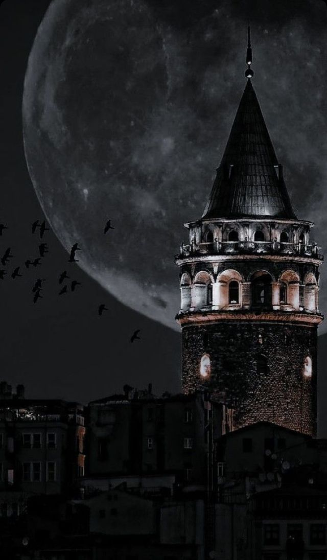 Elif Erva