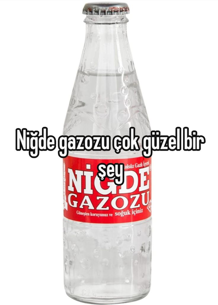 Zehra Naz ZAL