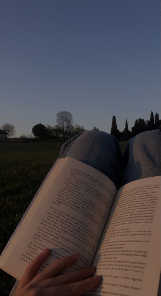 Novellasdiary