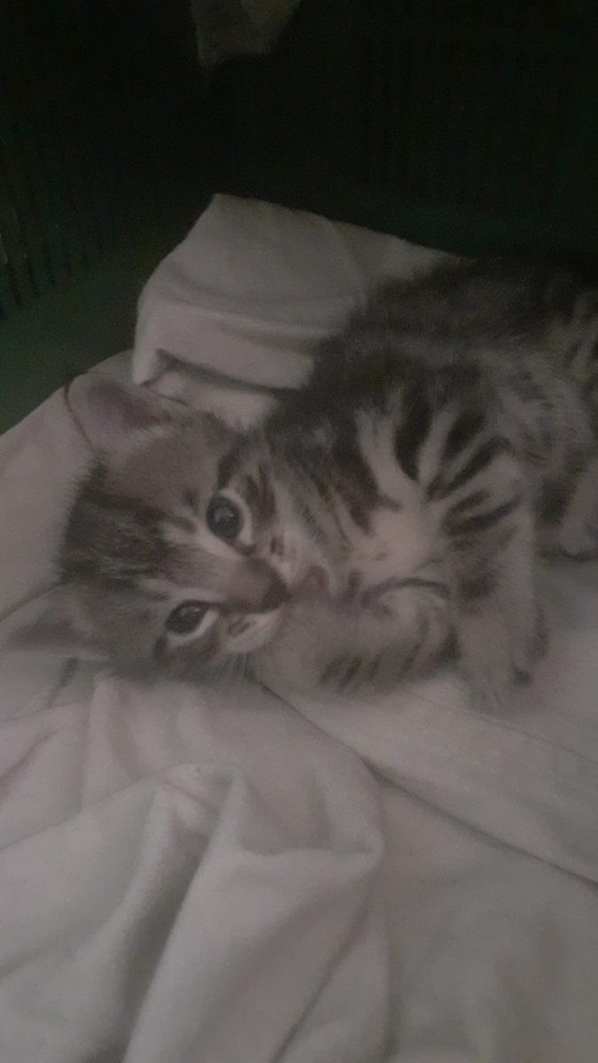 Zeynep