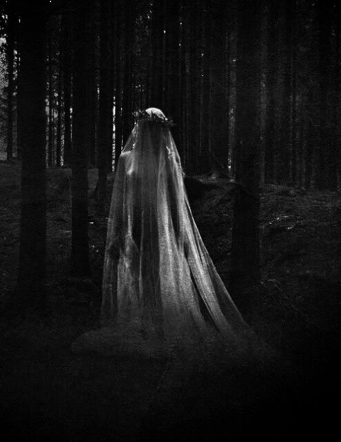 Dreamer