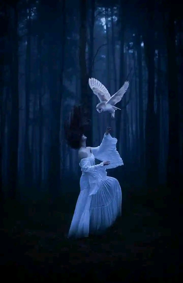 Gece