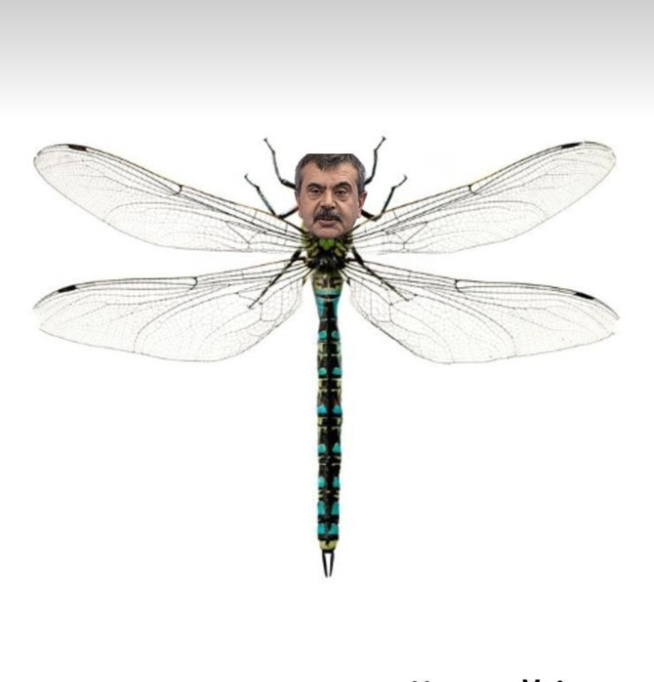 Yusufcugun_kitapkurtlari