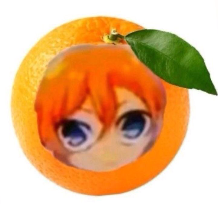 ZEYNP