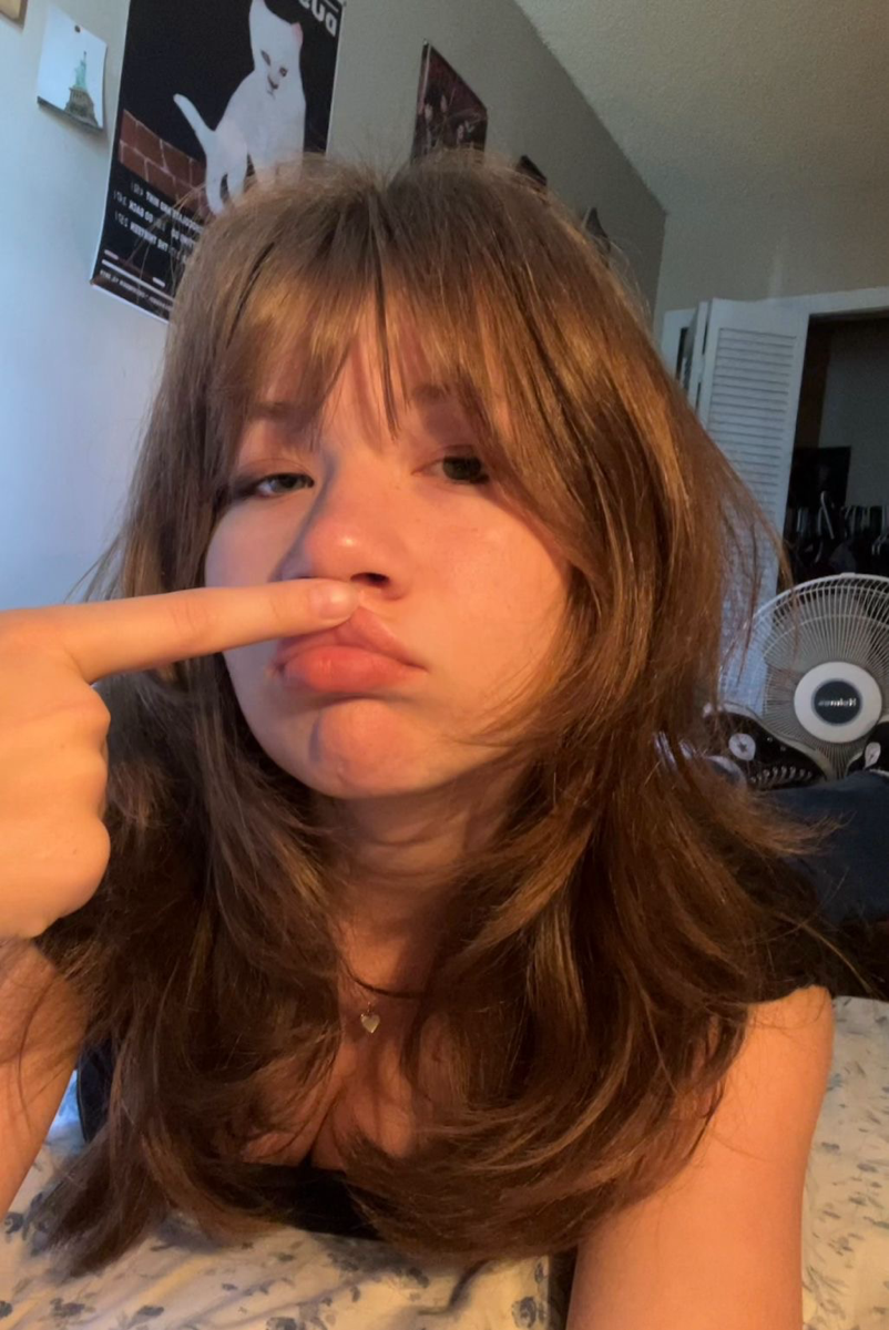 Sarahsslibary