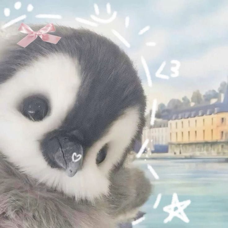 ꫂ❁𝓓𝓲𝓵𝓮𝓴𝓴