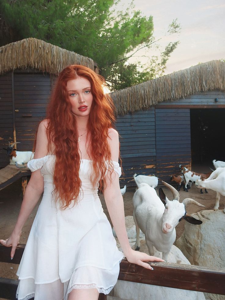 Selin Seren