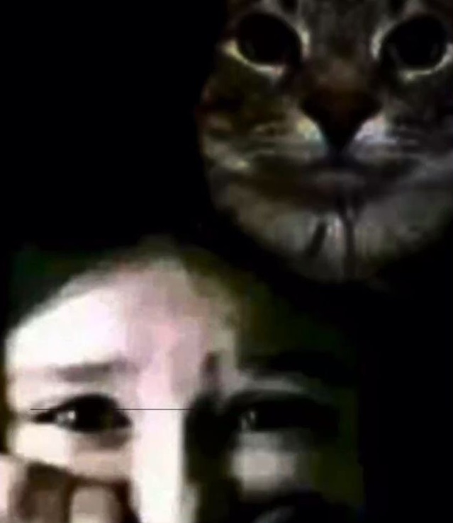 brrn