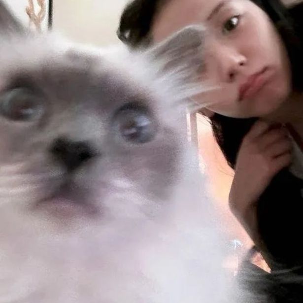 Tomris.Ök