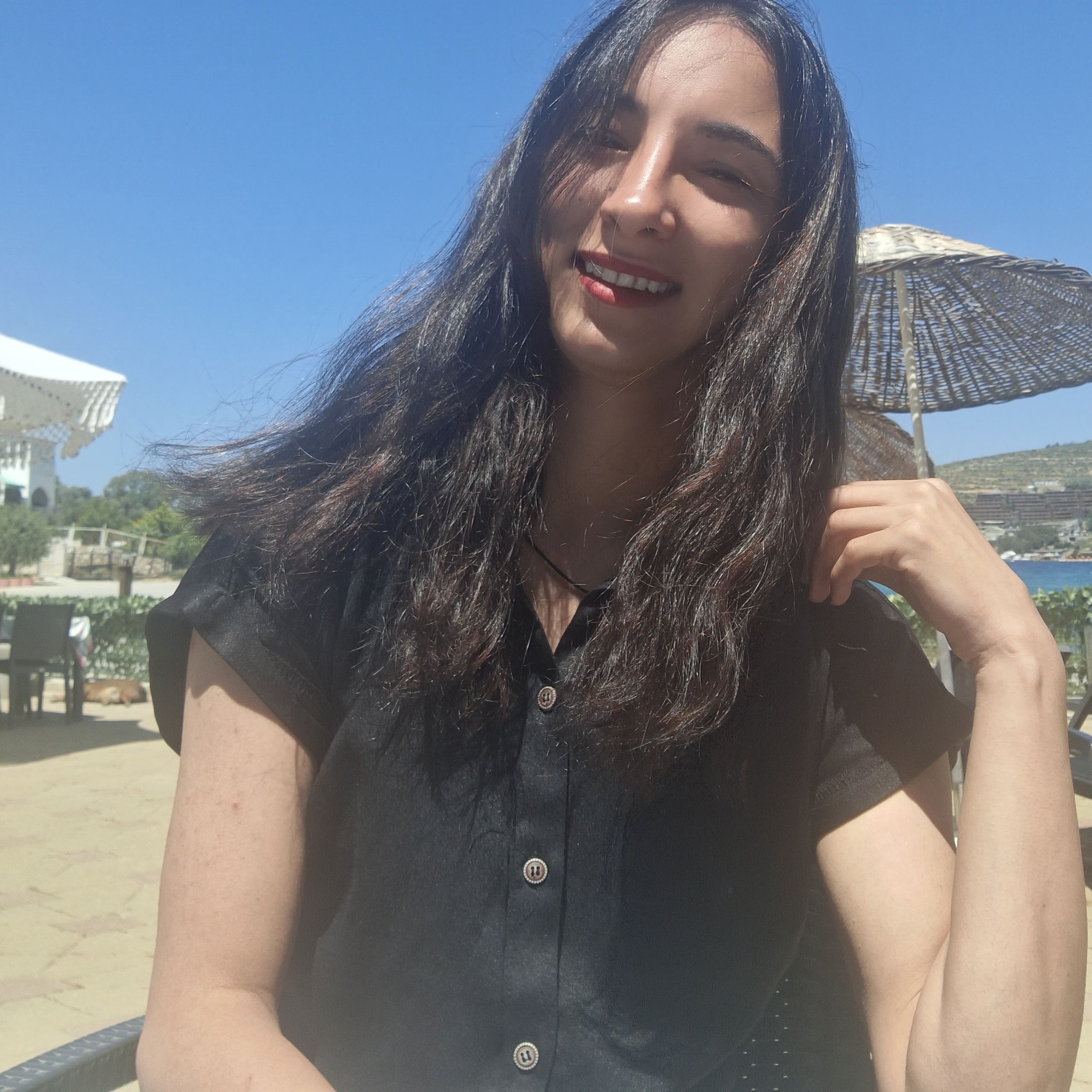 Lisno