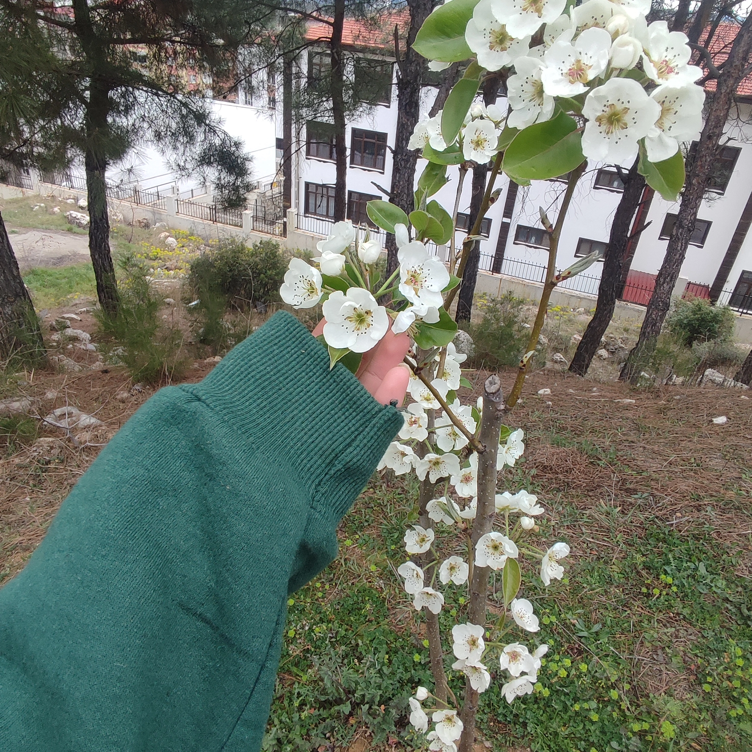 Sude Zeynep ZSB