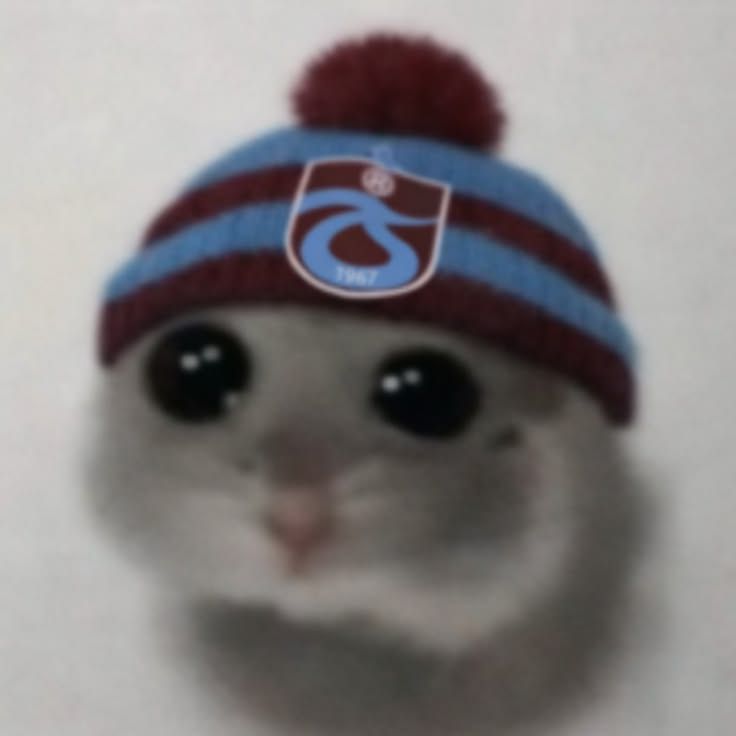 İremm Su