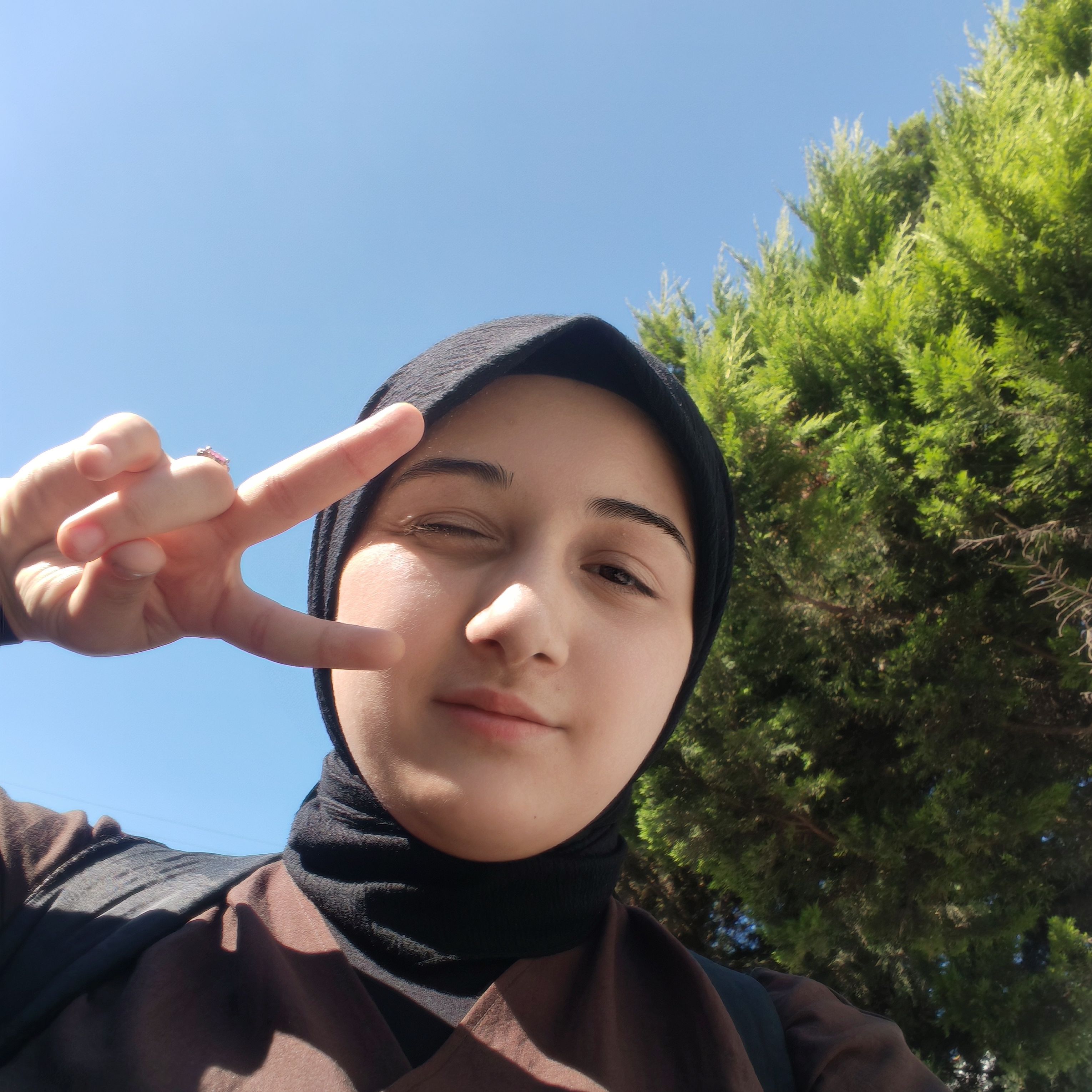 Yağmur Karayiği