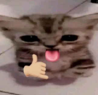 nargisslly