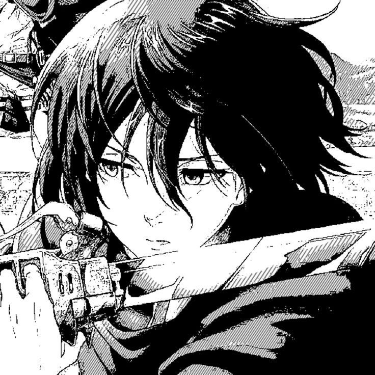 ☆Mikasa☆